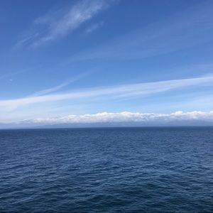 Meet your Posher, Vickie